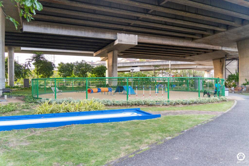 10 ข้อดีของ BMA DOG PARK สวนวัชราภิรมย์ สวนหมาเข้าฟรี ดีเรายกให้ดีที่สุดของกทม. ปี 2022 209