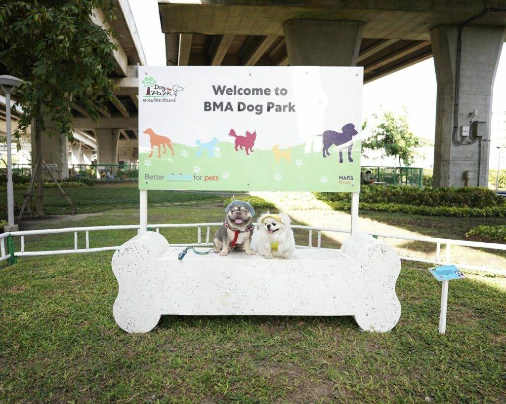 10 ข้อดีของ BMA DOG PARK สวนวัชราภิรมย์ สวนหมาเข้าฟรี ดีเรายกให้ดีที่สุดของกทม. ปี 2022 214