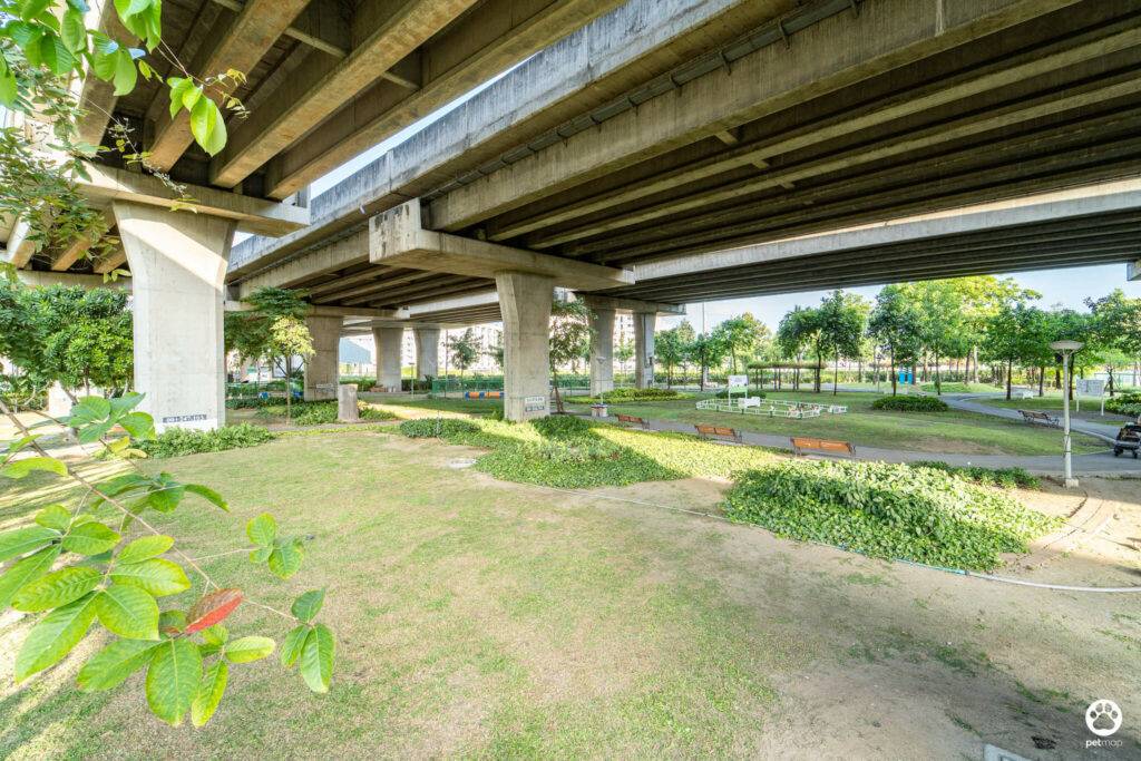 10 ข้อดีของ BMA DOG PARK สวนวัชราภิรมย์ สวนหมาเข้าฟรี ดีเรายกให้ดีที่สุดของกทม. ปี 2022 175