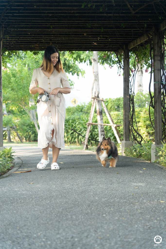 10 ข้อดีของ BMA DOG PARK สวนวัชราภิรมย์ สวนหมาเข้าฟรี ดีเรายกให้ดีที่สุดของกทม. ปี 2022 32