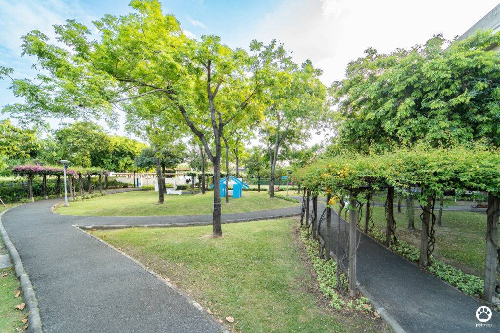 10 ข้อดีของ BMA DOG PARK สวนวัชราภิรมย์ สวนหมาเข้าฟรี ดีเรายกให้ดีที่สุดของกทม. ปี 2022 3 10 ข้อดีของ BMA DOG PARK สวนวัชราภิรมย์ สวนหมาเข้าฟรี ดีเรายกให้ดีที่สุดของกทม. ปี 2022 3