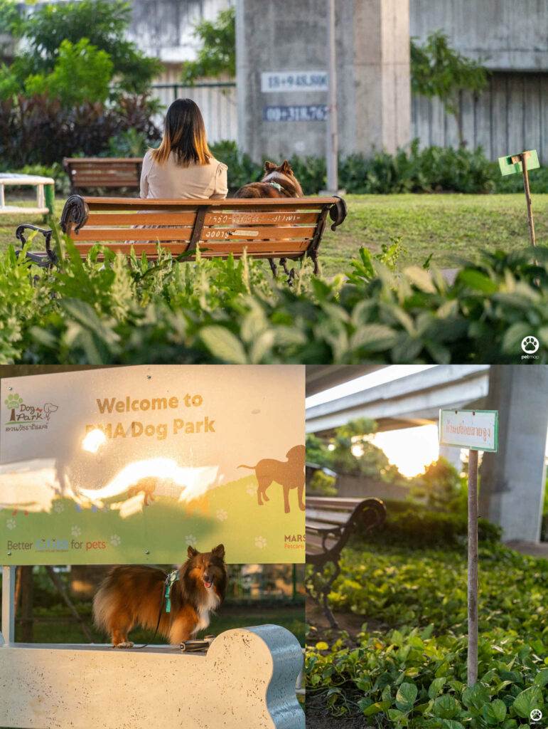 10 ข้อดีของ BMA DOG PARK สวนวัชราภิรมย์ สวนหมาเข้าฟรี ดีเรายกให้ดีที่สุดของกทม. ปี 2022 19