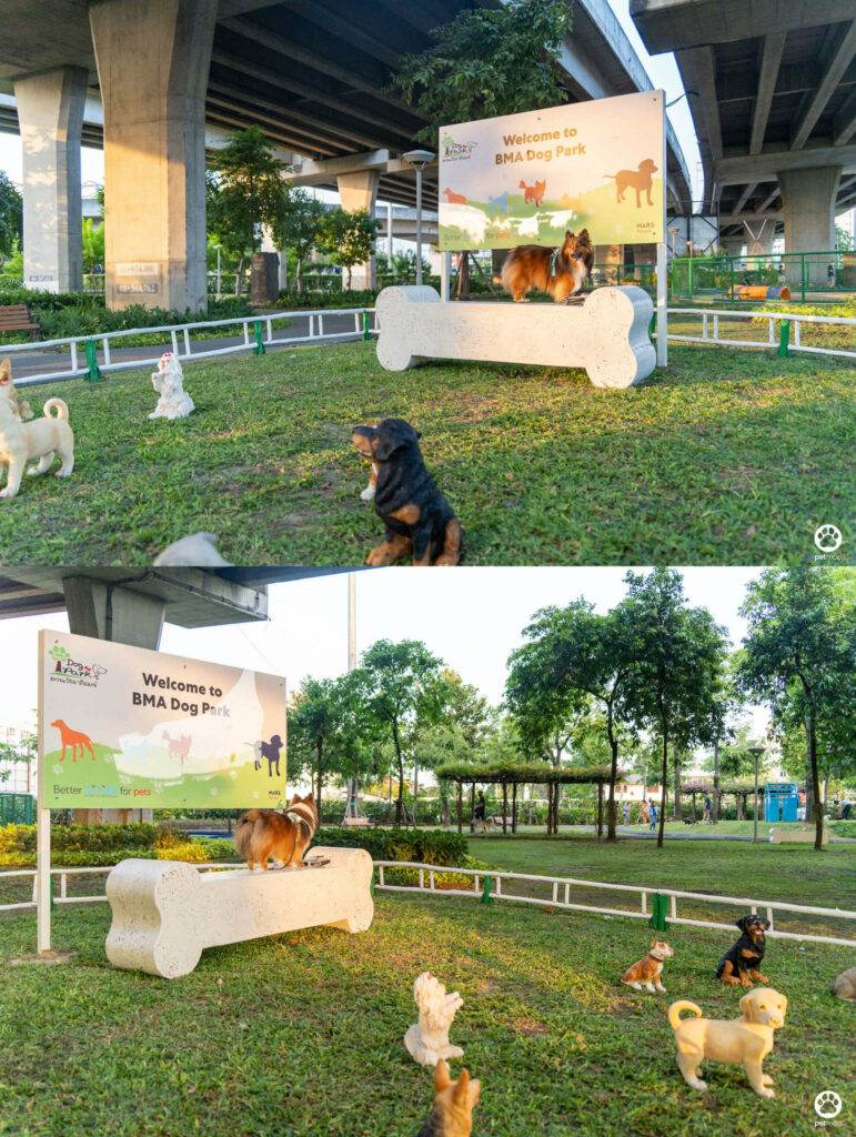 10 ข้อดีของ BMA DOG PARK สวนวัชราภิรมย์ สวนหมาเข้าฟรี ดีเรายกให้ดีที่สุดของกทม. ปี 2022 193