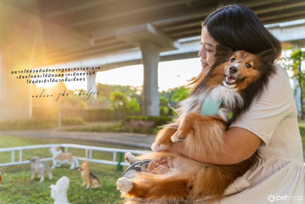 10 ข้อดีของ BMA DOG PARK สวนวัชราภิรมย์ สวนหมาเข้าฟรี ดีเรายกให้ดีที่สุดของกทม. ปี 2022 17 10 ข้อดีของ BMA DOG PARK สวนวัชราภิรมย์ สวนหมาเข้าฟรี ดีเรายกให้ดีที่สุดของกทม. ปี 2022 15