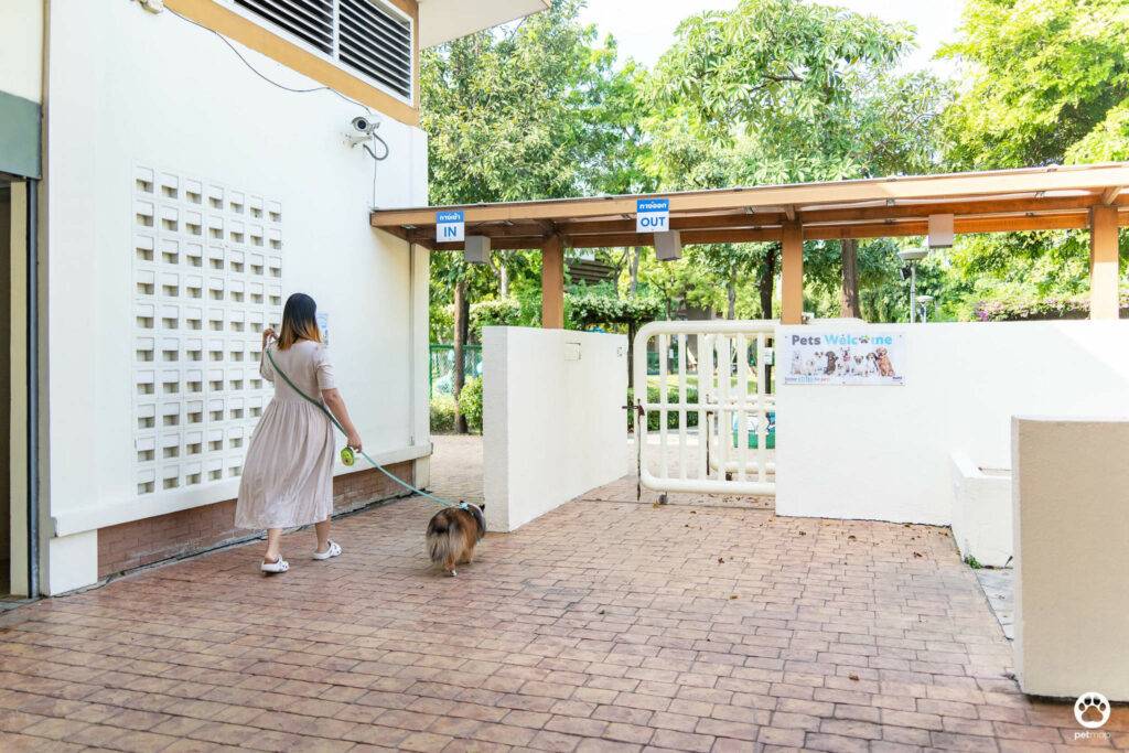 10 ข้อดีของ BMA DOG PARK สวนวัชราภิรมย์ สวนหมาเข้าฟรี ดีเรายกให้ดีที่สุดของกทม. ปี 2022 27