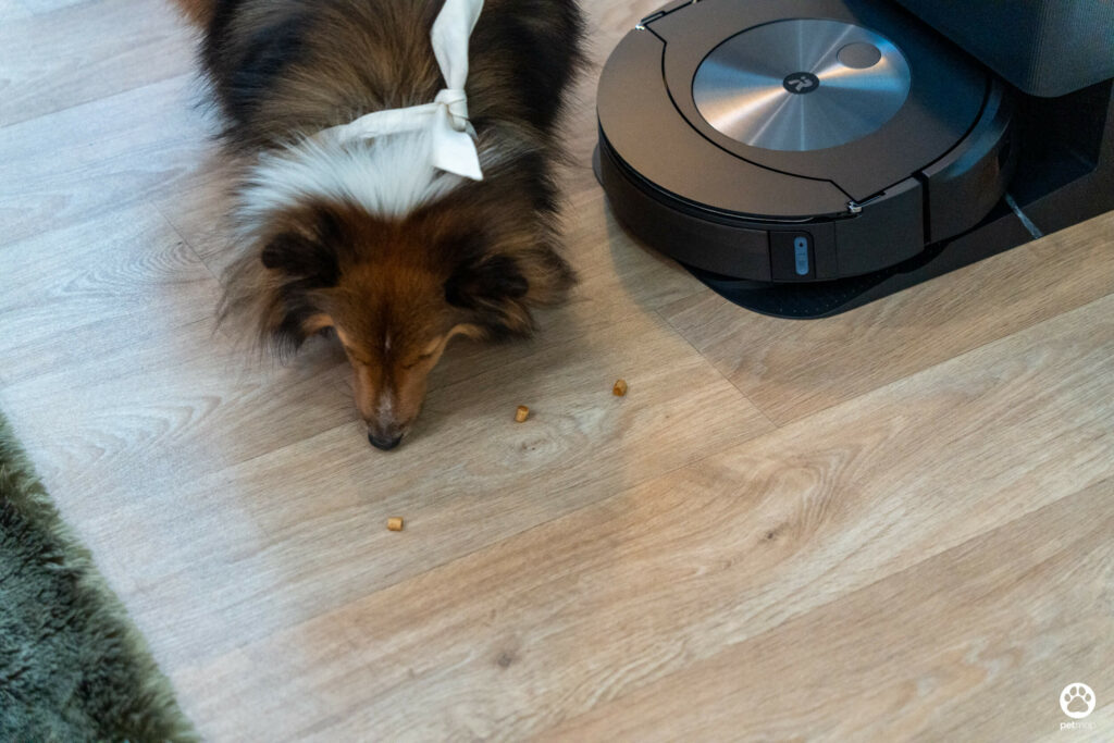 5 ฟีเจอร์ดีกับบ้านมีสุนัข รีวิว iRobot Roomba Combo j7+ หุ่นยนต์ดูดฝุ่นและถูพื้น 2 in 1 25