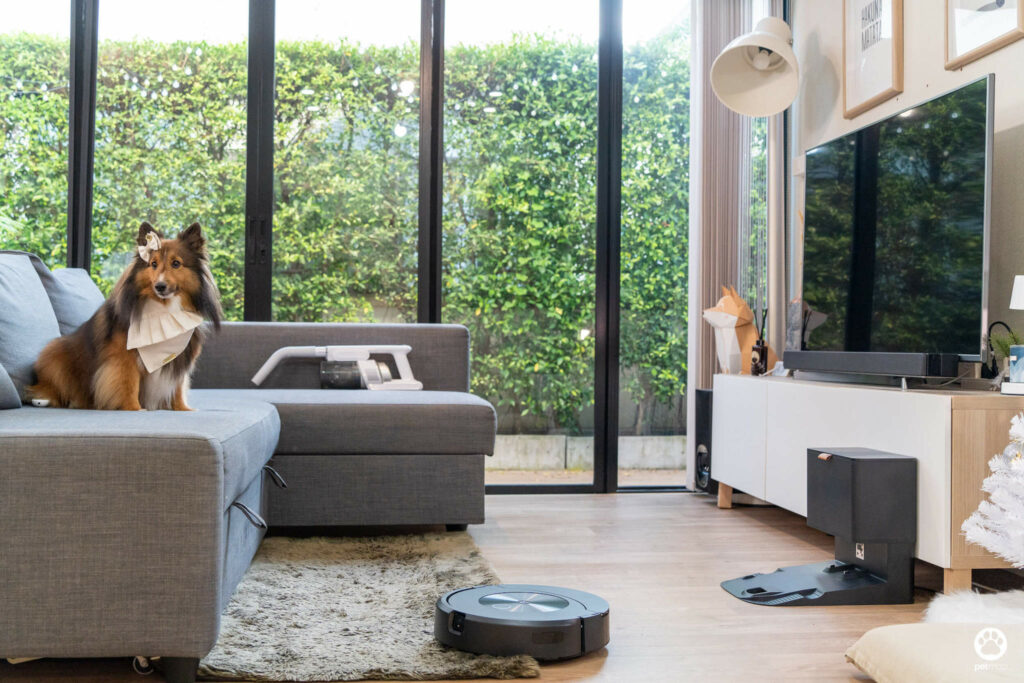 5 ฟีเจอร์ดีกับบ้านมีสุนัข รีวิว iRobot Roomba Combo j7+ หุ่นยนต์ดูดฝุ่นและถูพื้น 2 in 1 50