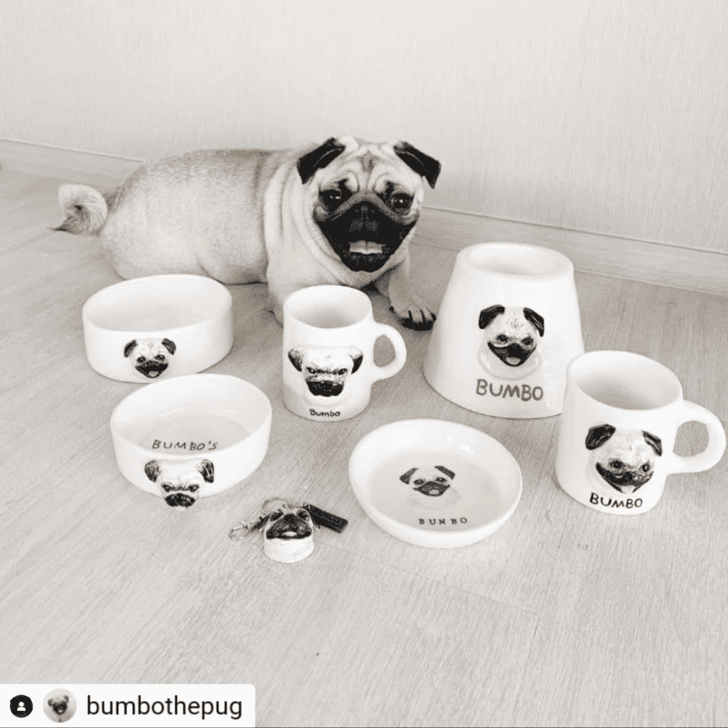 Petmap Art and Craft EP.1 - Mr.H Studio ร้านปั้นเซรามิกสัตว์เลี้ยง 7 Petmap Art and Craft EP.1 - Mr.H Studio ร้านปั้นเซรามิกสัตว์เลี้ยง 6