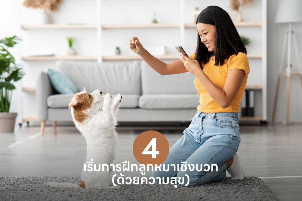 10 เคล็ดลับสำคัญ เปลี่ยนเจ้าของลูกสุนัขมือใหม่ให้กลายเป็นมือโปรในทันที 🐶 รวมวิธีเลี้ยงลูกสุนัข วิธีฝึก ดูแล 3