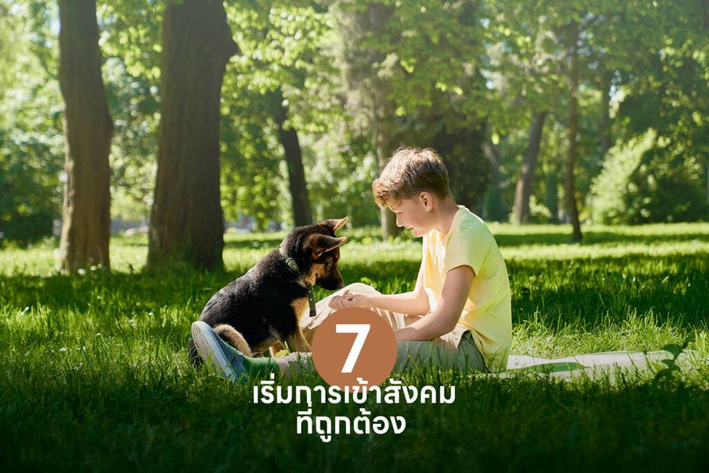 10 เคล็ดลับสำคัญ เปลี่ยนเจ้าของลูกสุนัขมือใหม่ให้กลายเป็นมือโปรในทันที 🐶 รวมวิธีเลี้ยงลูกสุนัข วิธีฝึก ดูแล 6