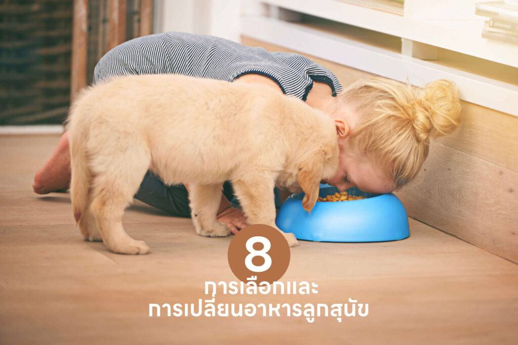 10 เคล็ดลับสำคัญ เปลี่ยนเจ้าของลูกสุนัขมือใหม่ให้กลายเป็นมือโปรในทันที 🐶 รวมวิธีเลี้ยงลูกสุนัข วิธีฝึก ดูแล 55