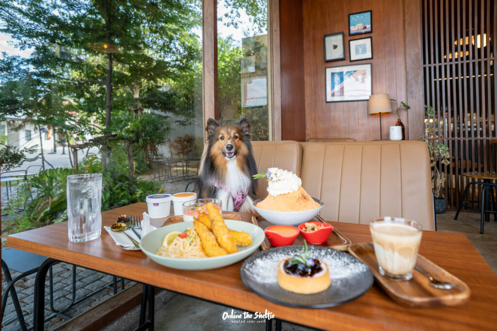 Hotto bun ลาดกระบัง ホットバン ฟีลเจแปน ก็แค่ ลาดกระบัง Pet Friendly ปิด 3 ทุ่ม 30 Hotto bun ลาดกระบัง ホットバン ฟีลเจแปน ก็แค่ ลาดกระบัง Pet Friendly ปิด 3 ทุ่ม 23