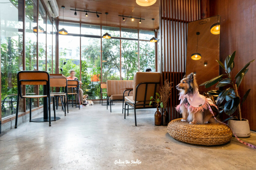 Hotto bun ลาดกระบัง ホットバン ฟีลเจแปน ก็แค่ ลาดกระบัง Pet Friendly ปิด 3 ทุ่ม 14 Hotto bun ลาดกระบัง ホットバン ฟีลเจแปน ก็แค่ ลาดกระบัง Pet Friendly ปิด 3 ทุ่ม 11