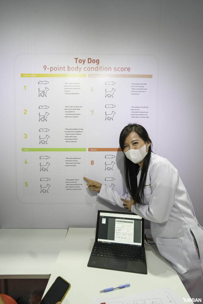 พาหมาปรึกษา ปรึกษา Vet Service ที่บูธ ROYALCANIN ในงาน PET EXPO 2023 9